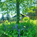 Участок на продажу в Красноярске, Лесная ул, 48 фото №7