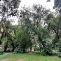 Квартира в аренду в Йошкар-Оле, Хасанова ул, 9 фото №18