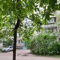 Квартира на продажу в Жуковском, Гагарина ул, 33 фото №0