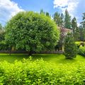 Дом на продажу в Верхнее Дуброво, Березовая ул, 4 фото №5