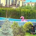 Таунхаус на продажу в Красном Поселке, ЖК Покровский тер фото №13