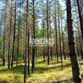 Участок на продажу в Приветном, ПМК ул фото №0
