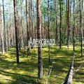 Участок на продажу в Приветном, ПМК ул фото №7