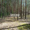 Участок на продажу в Приветном, ПМК ул фото №10