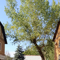 Коммерческая земля на продажу в Ростове-на-Дону, Освобождения ул, 49 фото №0
