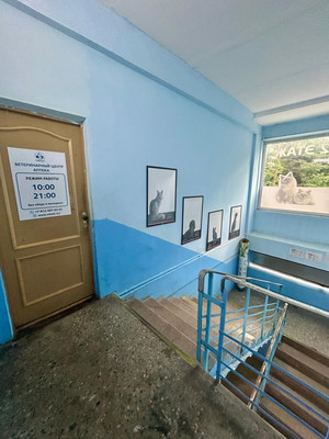 Фото: Помещение 143,9 кв.м test