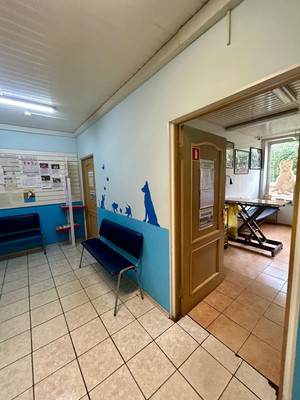 Фото: Помещение 143,9 кв.м test