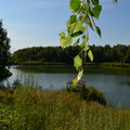 Дом на продажу в Бурцево, Тихий пер, 6А фото №4