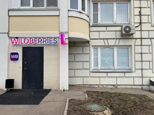 Фото: ГАБ Головной Wildberries test