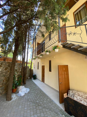 Фото: Эллинг в Партените! test