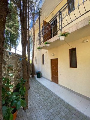 Фото: Эллинг в Партените! test