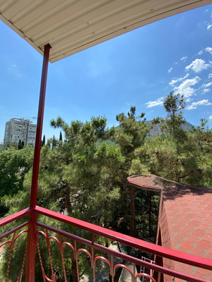 Фото: Эллинг в Партените! test