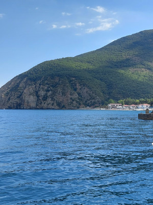 Фото: Эллинг в Партените! test