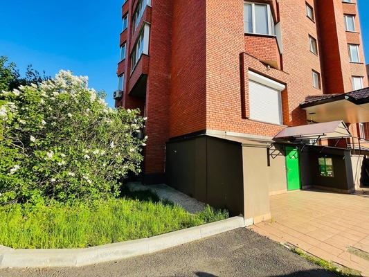 Фото: Помещение под аренду test