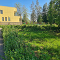 Дом на продажу в Левашово, Мира ул, 34 фото №7
