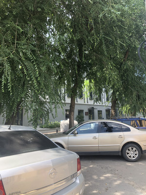 Фото: Коммерческое помещение test