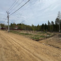 Участок на продажу в Новолисихе , Южная ул фото №1