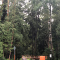 Дом на продажу в Марфино, Тихая ул фото №11