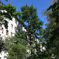 Квартира на продажу в Великом Новгороде, Парковая ул, 4к3 фото №0