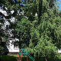 Квартира на продажу в Великом Новгороде, Парковая ул, 4к3 фото №2