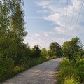 Коммерческая земля на продажу в Бабенках, Бабенки д фото №8