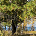 Дом на продажу в Байкальске, Южный мкр фото №20