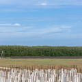 Коммерческая земля на продажу в Верхняе Катуховке, Верхняя Катуховка с фото №8