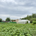 Дача на продажу в Хантах-Мансийске, СОТ Белка 14 км автодороги Х-М-Т снт, 14 фото №11