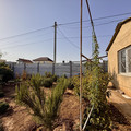 Дача на продажу в Николаевке, Абрикосовая ул, 14 фото №6