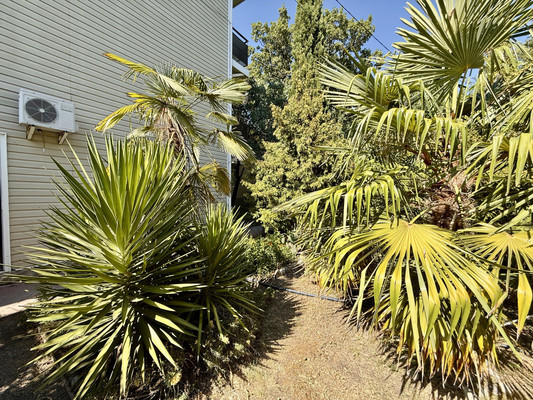 Фото: Гостиница на 26 номеров в Сатере! test