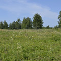 Участок на продажу в рабочем посёлке Малое Козино, Малое Козино рп фото №0