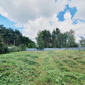 Дом на продажу в Карамышево, Лесная ул, 24 фото №14