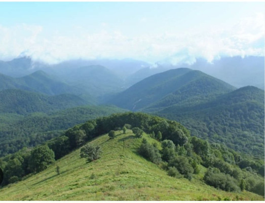 Фото: Кафе в с.Георгиевское! test