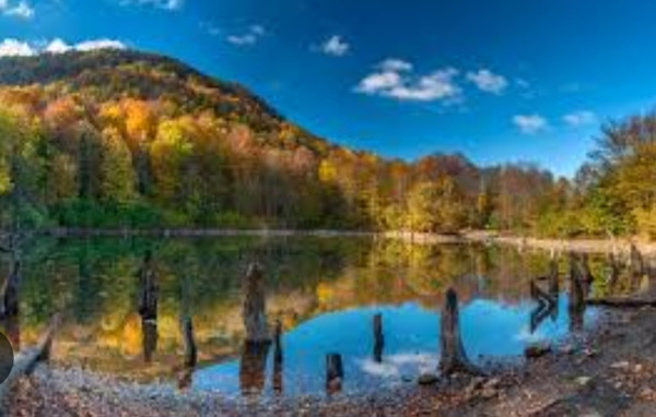 Фото: Кафе в с.Георгиевское! test