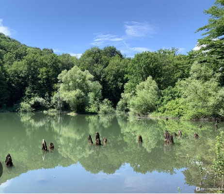 Фото: Кафе в с.Георгиевское! test