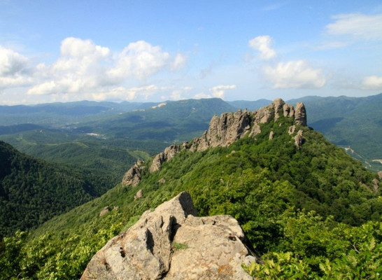 Фото: Кафе в с.Георгиевское! test