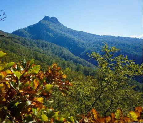 Фото: Кафе в с.Георгиевское! test