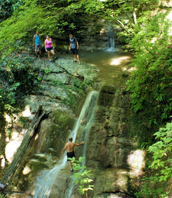 Фото: Кафе в с.Георгиевское! test