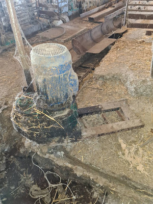 Фото: Продаётся ферма! test