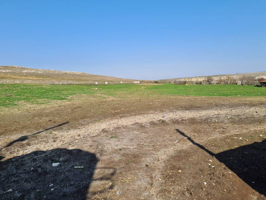 Фото: Продаётся ферма! test