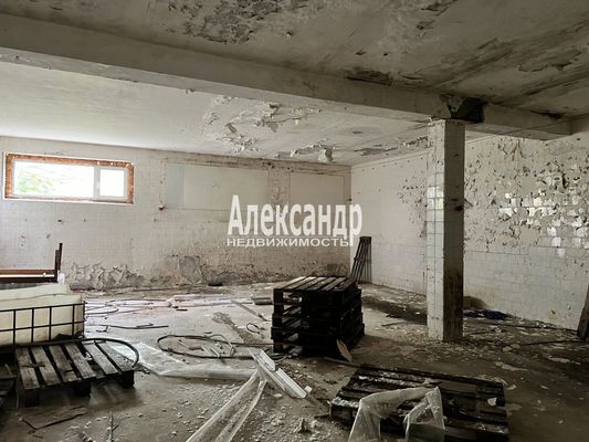 Фото: Продаётся test