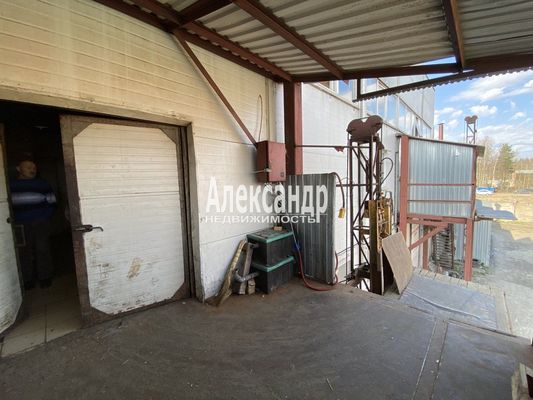 Фото: Пищевое производство test