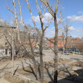 Квартира на продажу в Иркутске, Профсоюзная ул, 6д фото №18