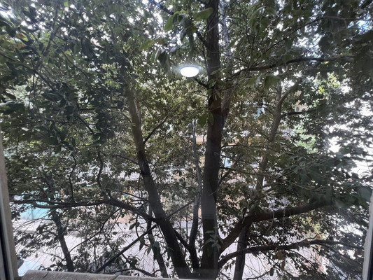 Фото: Готовый бизнес у моря test