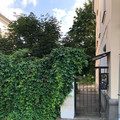 Квартира на продажу в Великом Новгороде, Большая Московская ул, 66 фото №1