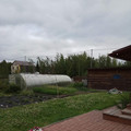Дача на продажу в Хантах-Мансийске, СОК Строитель 11 км автодороги Х-М-Т снт фото №3