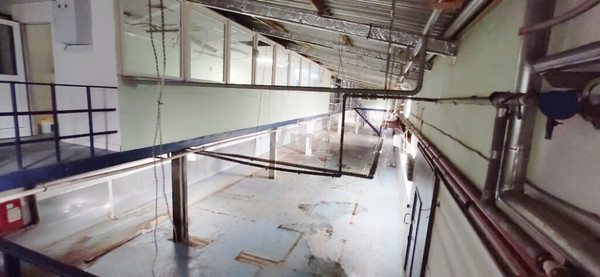 Фото: Пищевое производство test