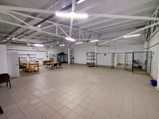 Фото: Свободного назначения 250+ м2 test