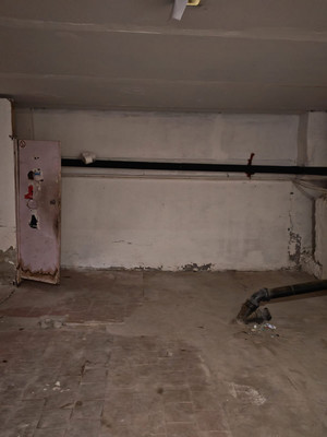 Фото: В центре города test