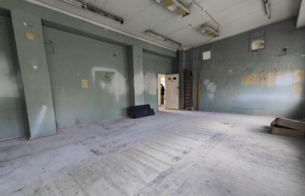 Фото: Свободного назначения test